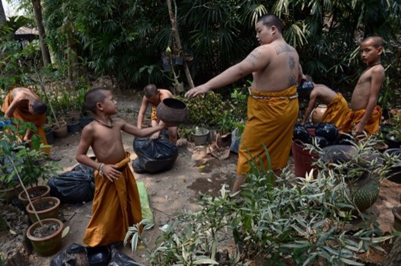 The Temple of the Golden Horse