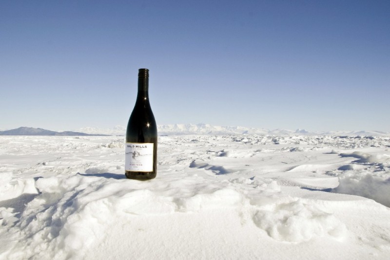 wine antartica