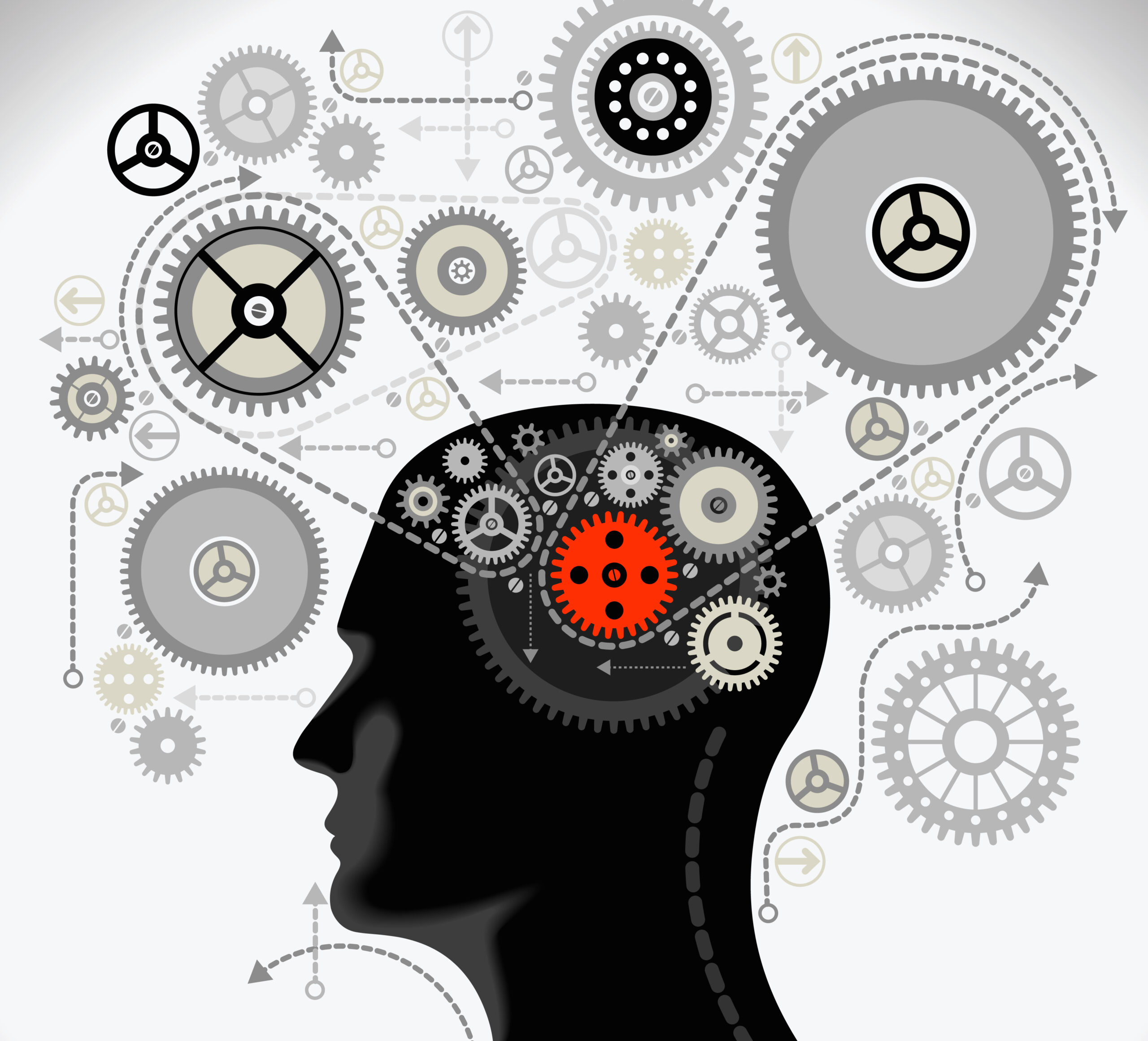 Middle Schoolers Become Brain Scientists During Brain Awareness Week