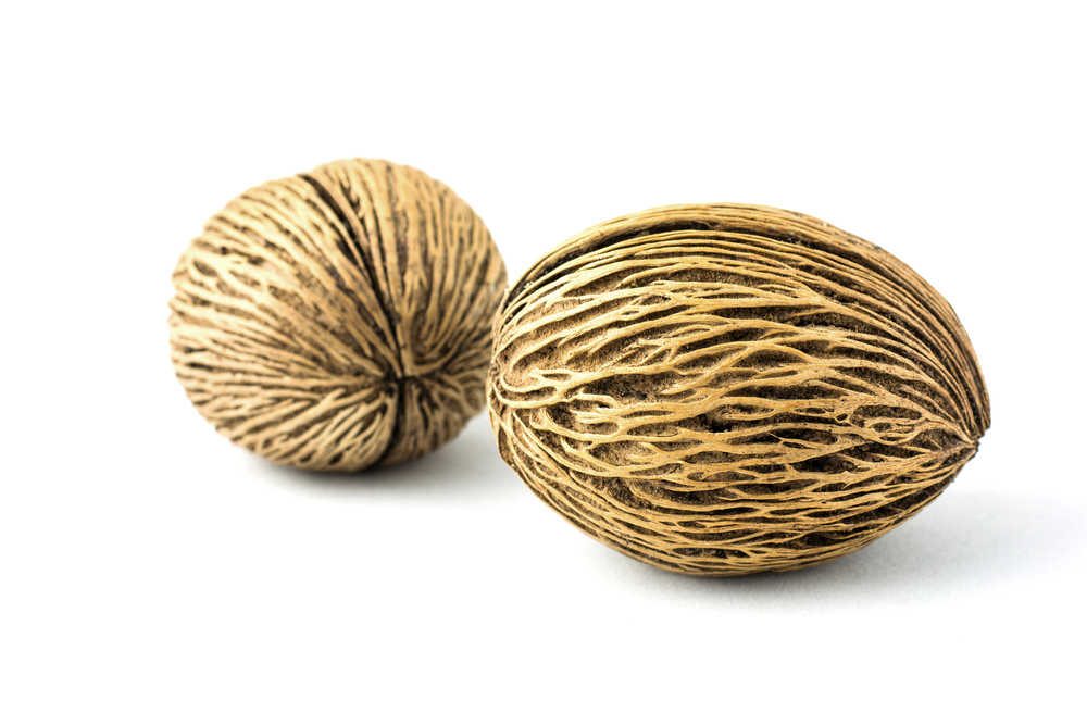 Transgender Woman Dies After Eating Seeds From ‘Suicide Tree’