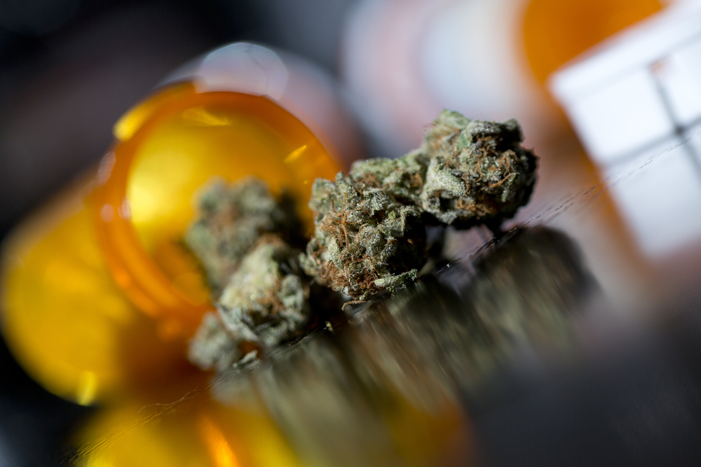 Maine Considers Marijuana As An Option To Treat Opioid Addiction