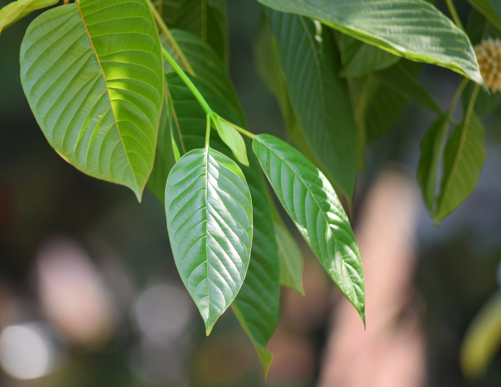 shutterstock_374514058-2