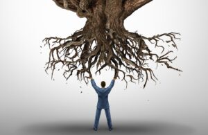 Changing Recovery Networks While Staying in Recovery