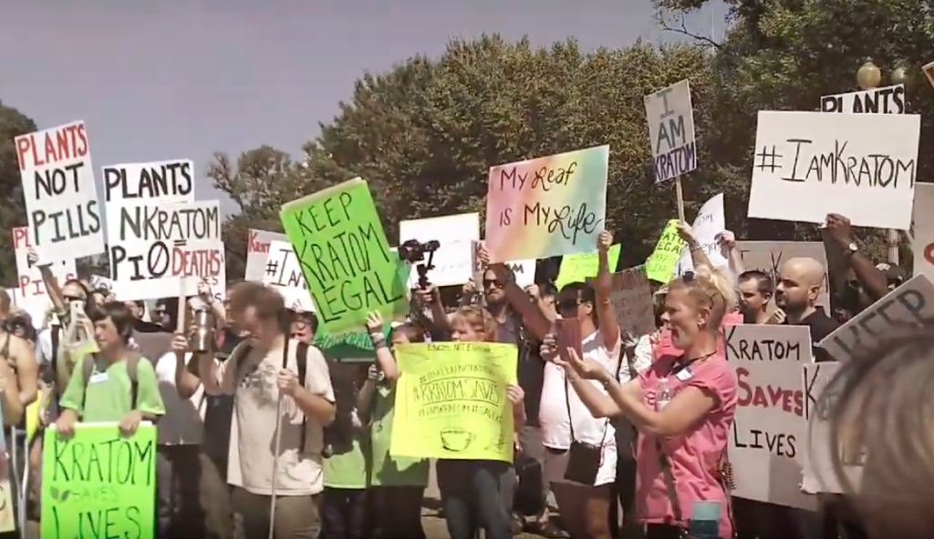Kratom Advocates Rally To Stop DEA’s Proposed Ban Kratom Advocates Rally To Stop DEA's Proposed Ban