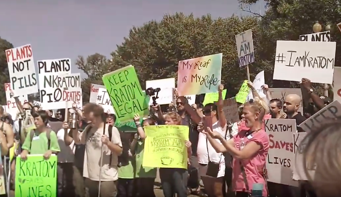 Kratom Advocates Rally To Stop DEA's Proposed Ban