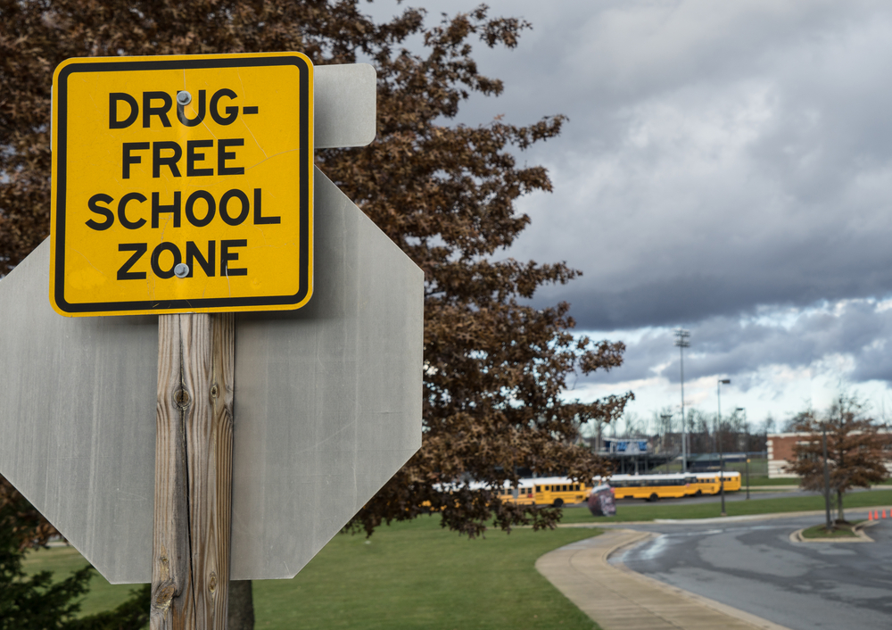 States Taking Mixed Approach To Drug-Free School Zones