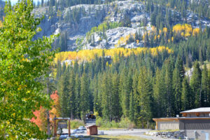 View of Utah mountainside and trees.