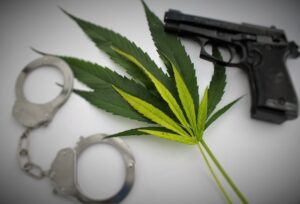 Gun Rights Pose A Problem For Medical Marijuana Users