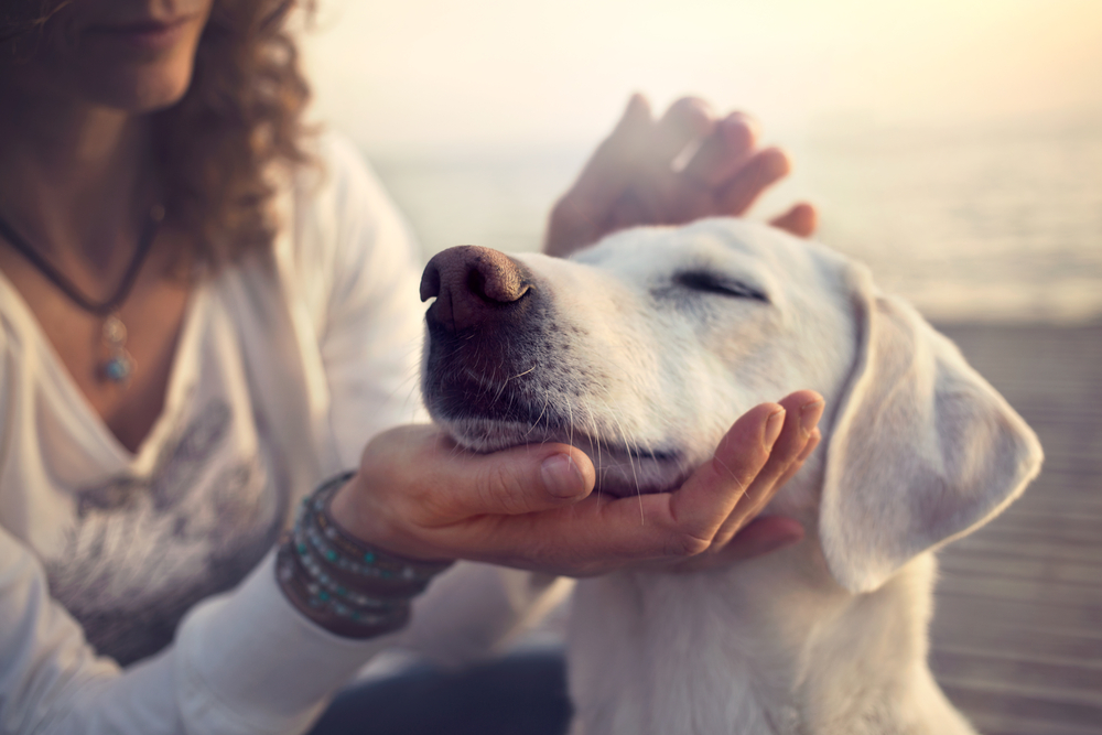 A woman petting her dog.
