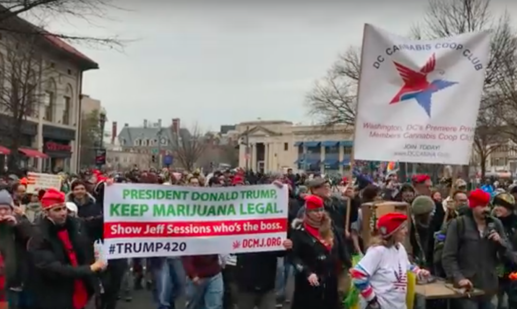 Pot Activists Distribute Joints, Light Up at Trump Inauguration DC pro-marijuana protest on inauguration day.