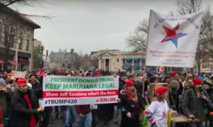 DC pro-marijuana protest on inauguration day.