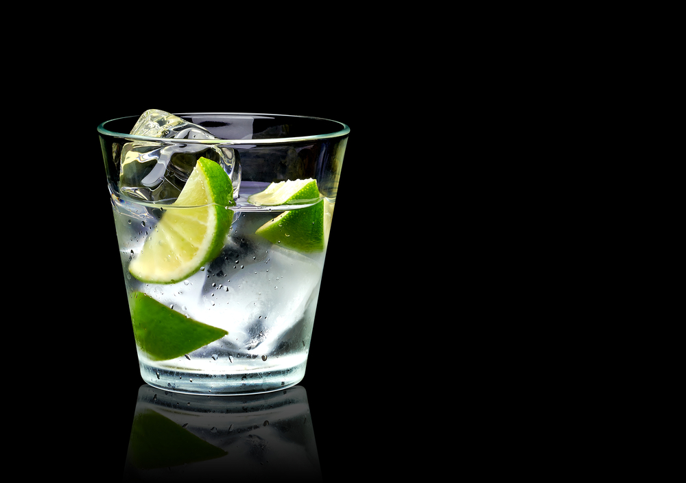 a gin and tonic with lime.