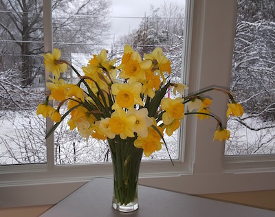 A vase of daffodils.