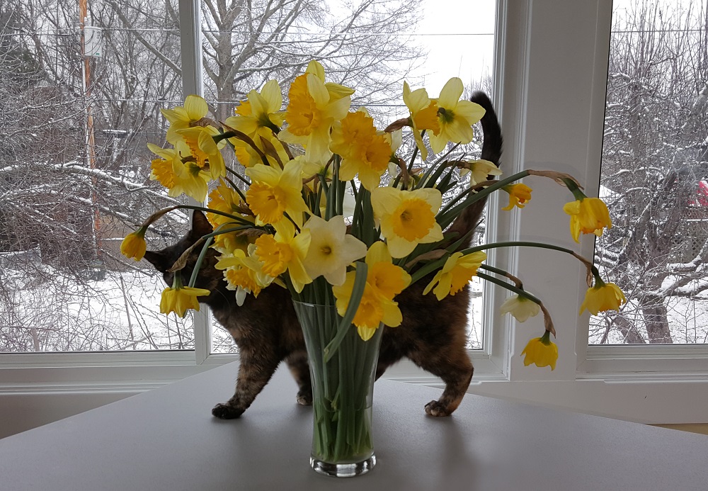 A cat hiding behind a vase of flowers.