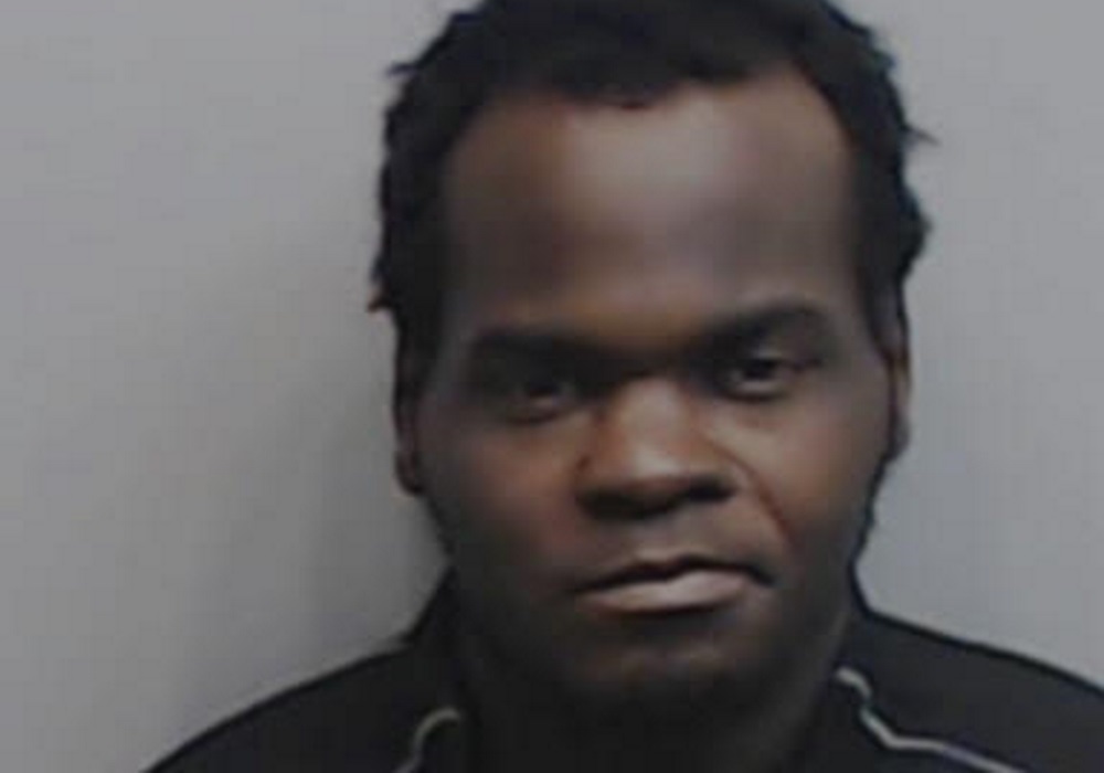 Basil Eleby's mugshot, the man who set fire to the interstate bridge.