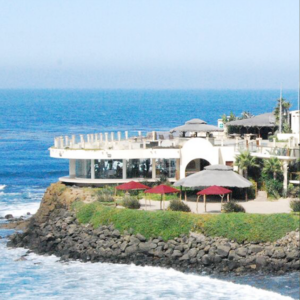 The Holistic Sanctuary