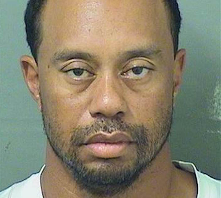 Tiger Woods' mugshot