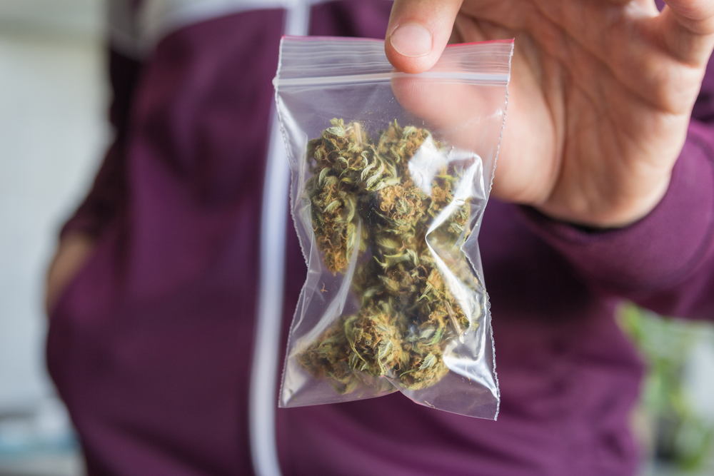 man holding a bag of marijuana buds.