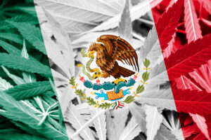 The Mexican flag set against a backdrop of marijuana