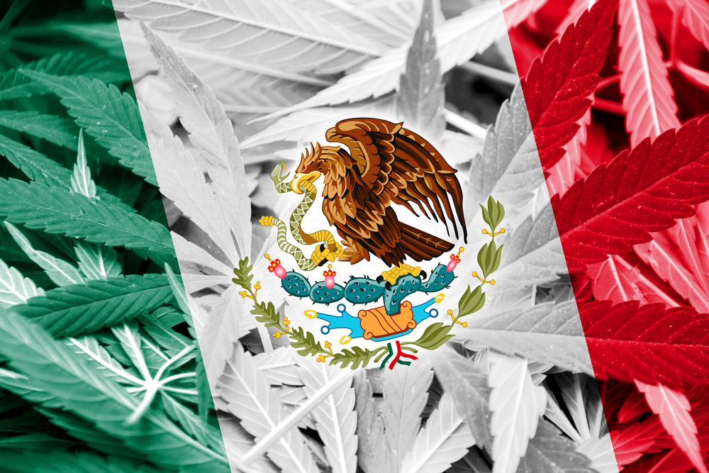 The Mexican flag set against a backdrop of marijuana