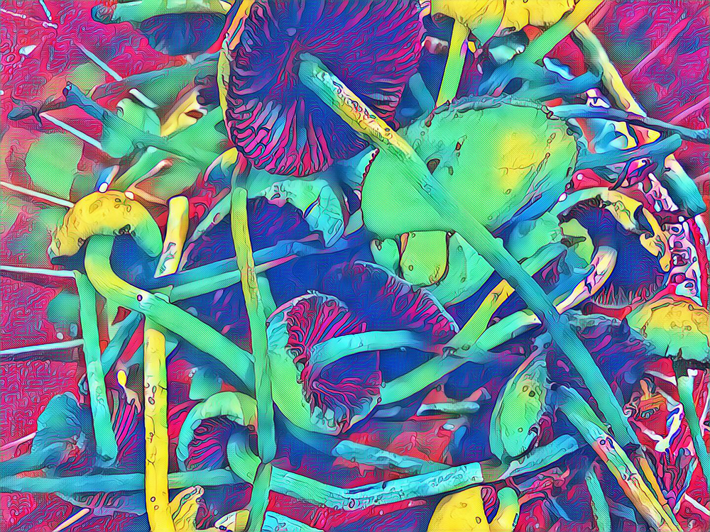 Wild mushroom digital illustration. Non-eatable mushrooms with hallucinogen effect. Toadstool mushroom pile fantastic image. Magic mushroom of Asia