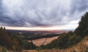 Hazelden Springbrook