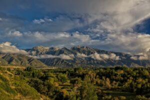 New Roads Behavioral Health