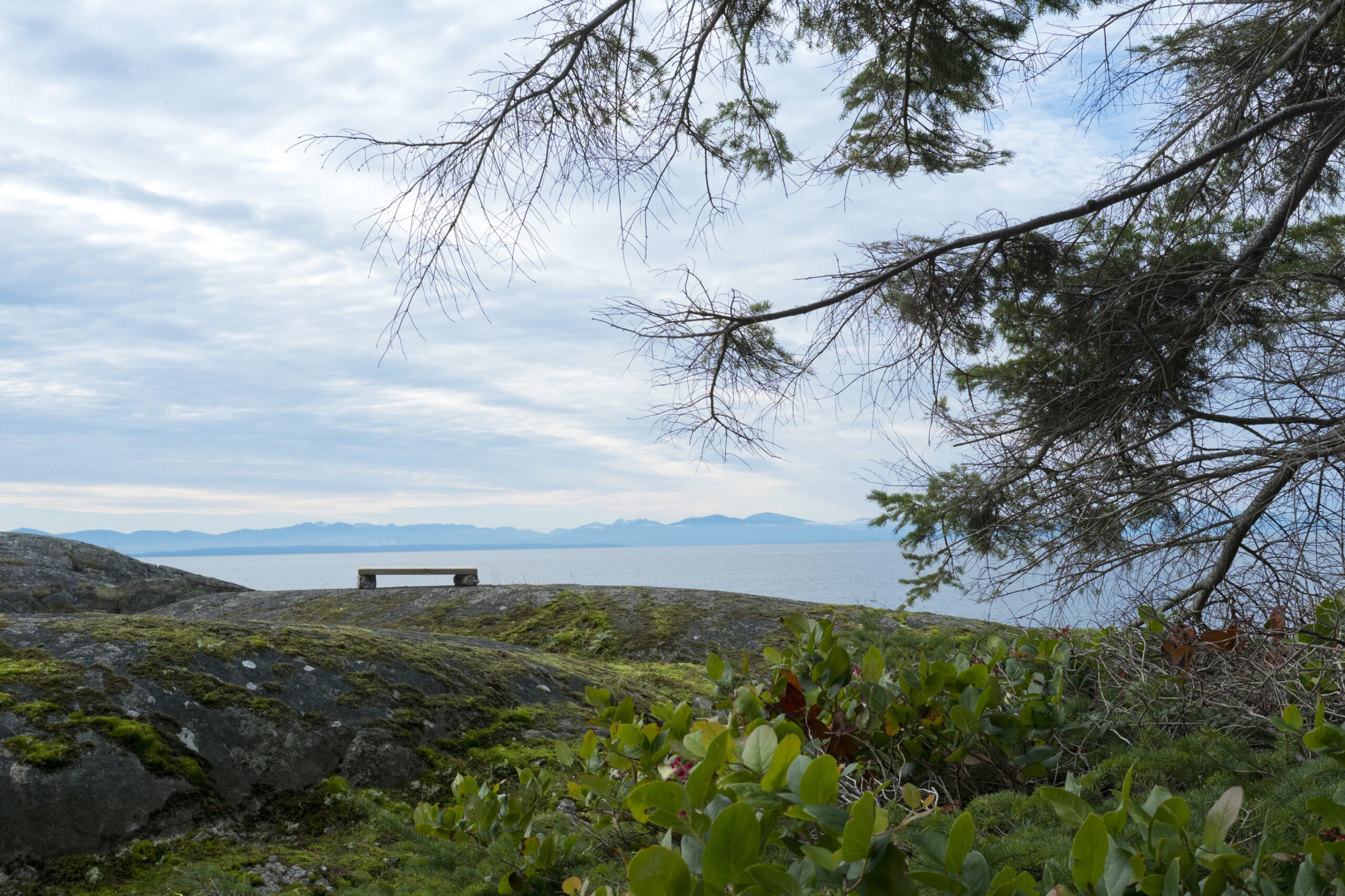 Orchard Recovery Center