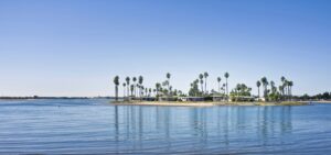 Pacific Bay Recovery