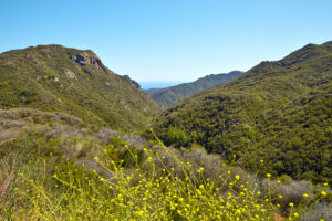 Prominence Treatment Center