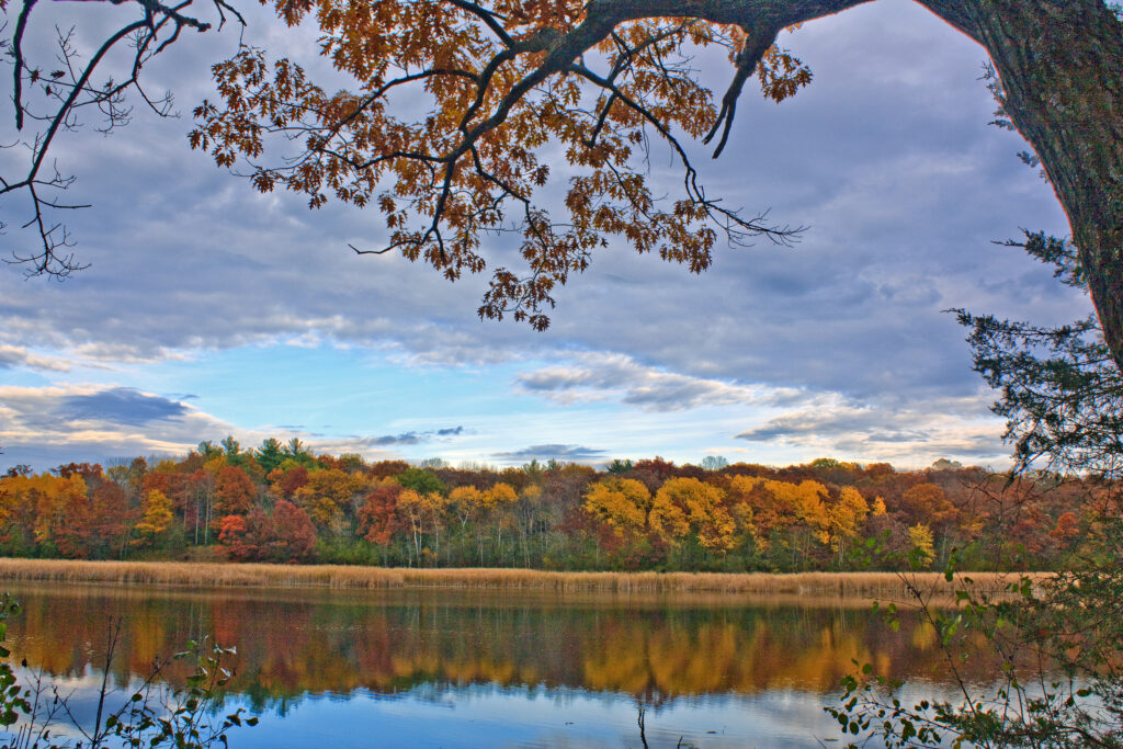 Rogers Behavioral Health: Herrington Recovery Center