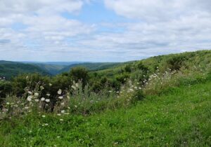 St. Joseph Institute for Addiction