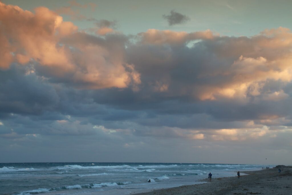 The Florida House Detox