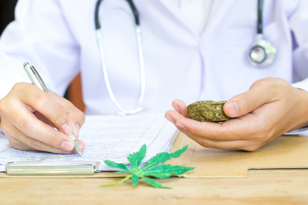 Doctor holding a marijuana bud and writing a prescription.