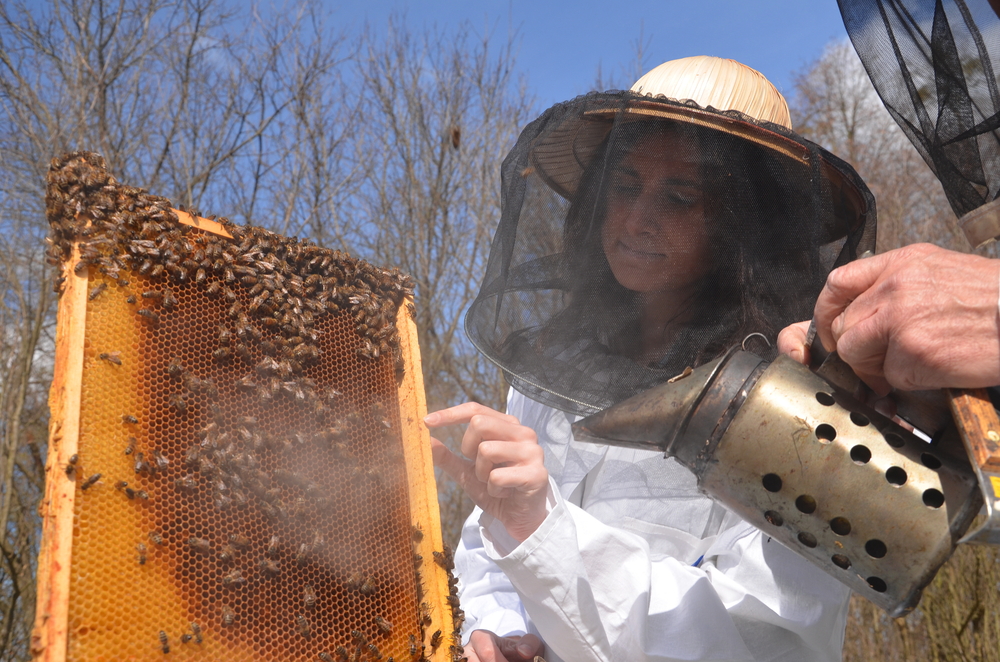 A female beekeeper in apiary