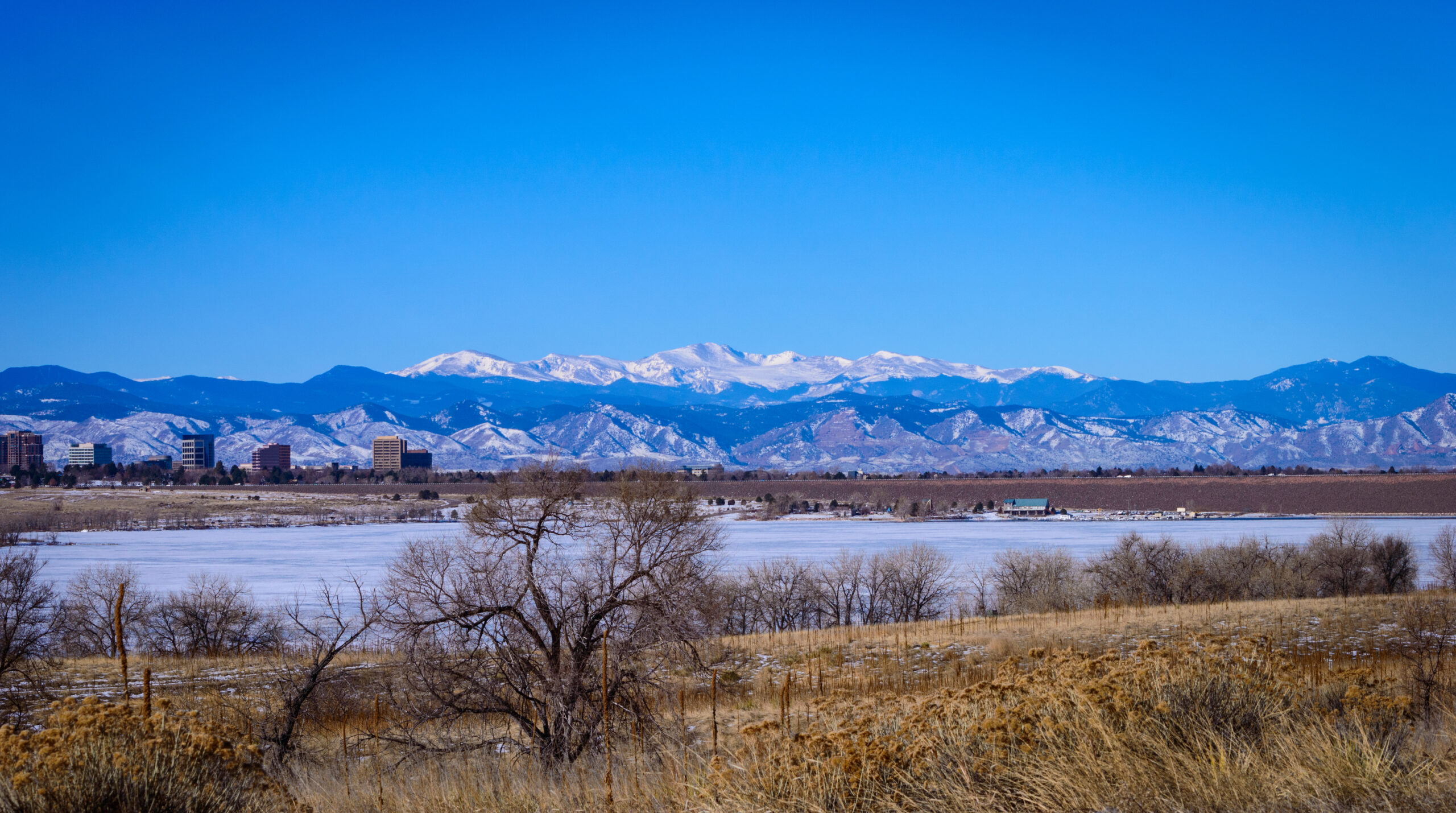 CeDAR Center for Dependency, Addiction and Rehabilitation