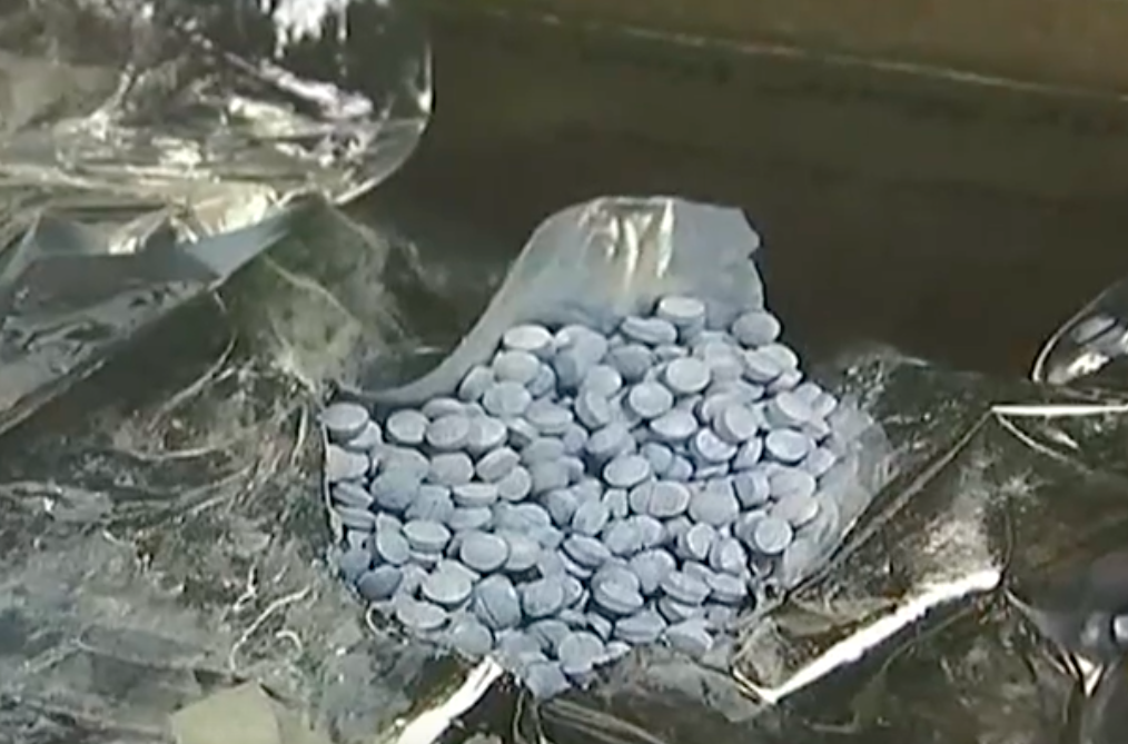 the shipment of oxycodone pills that the woman received.