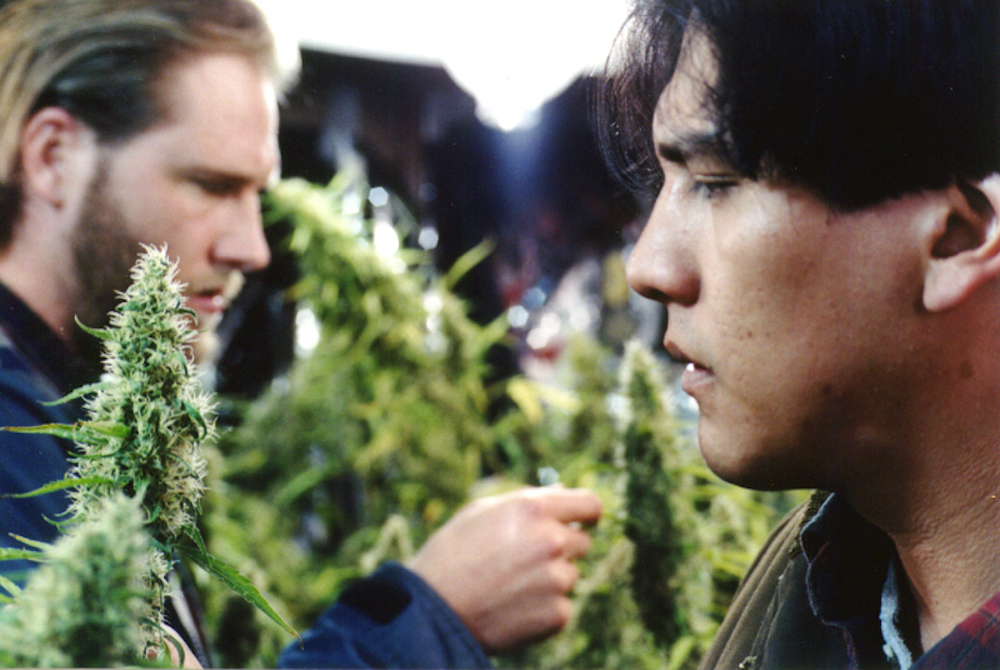 a scene from Where The Air Is Cool And Dark