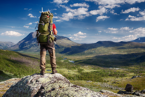 A man with a backpack overlooking wilderness
