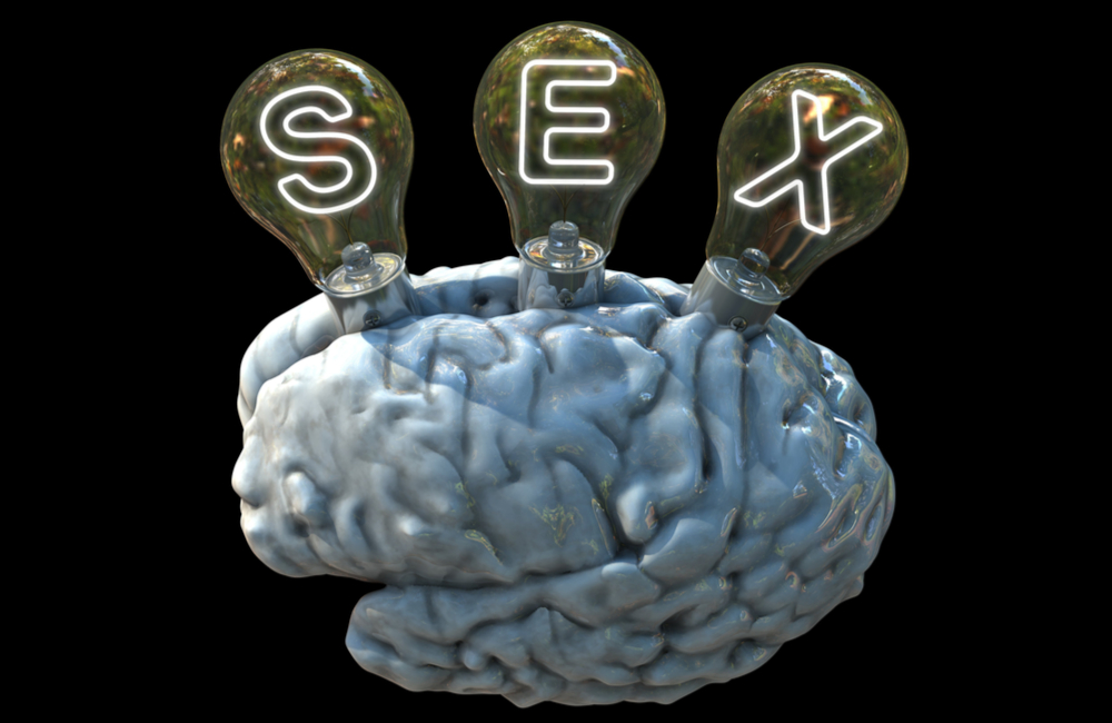 sex on the brain