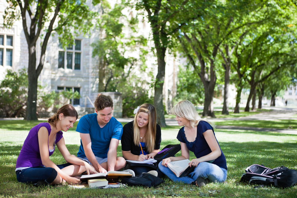 ge students studying together in campus ground