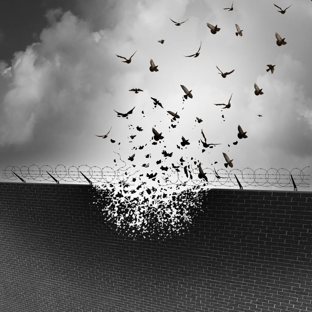 A wall with barbed wire transforming into birds flying away.
