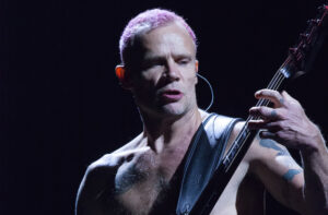 flea