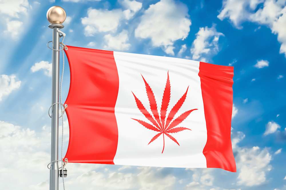 Canadian flag emblazoned with marijuana leaf