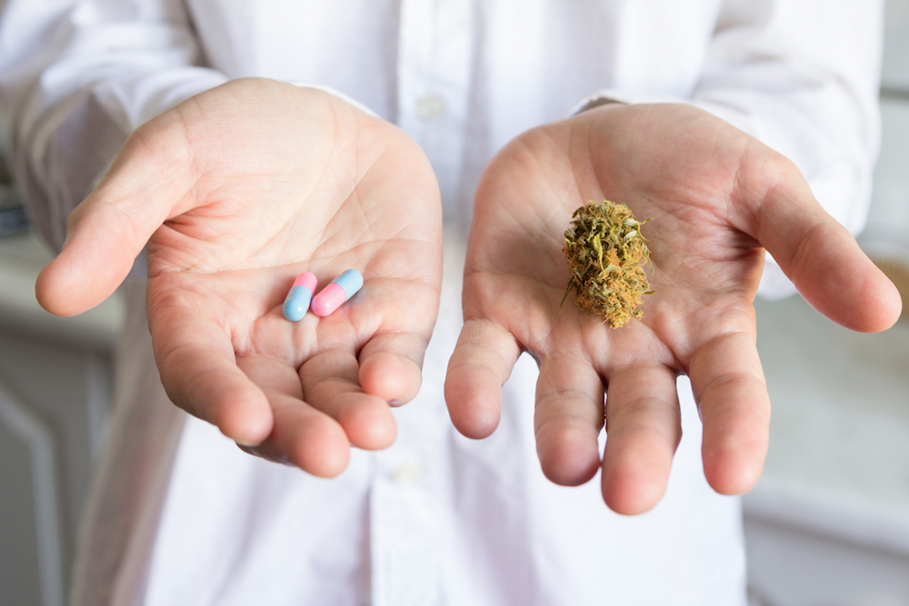 Doctor's hands holding a bud of medical cannabis and pills