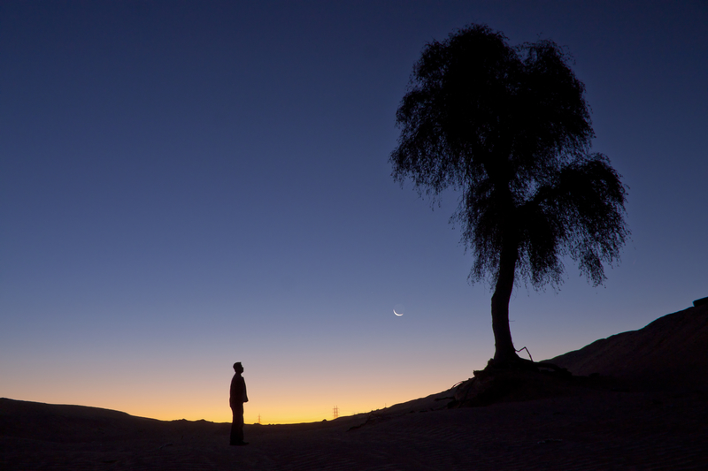Silhouette of a man standing by a tree