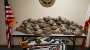 80lbs of confiscated marijuana and an AK47