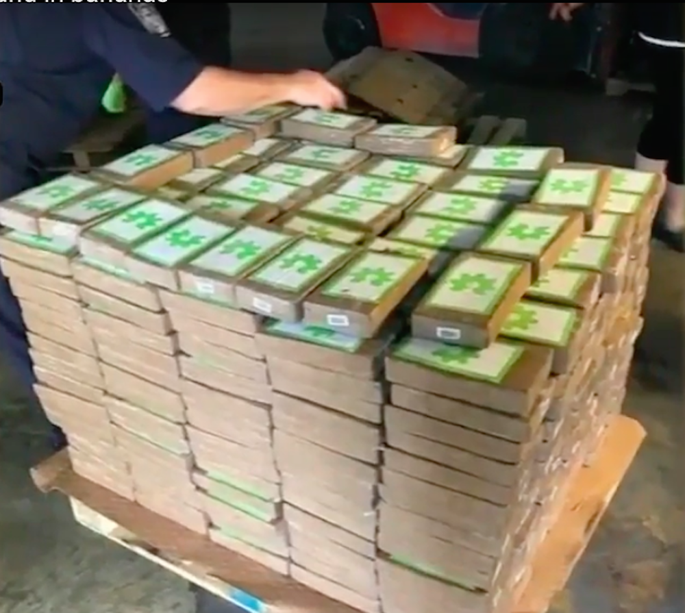 Pallet of cocaine found inside Dole banana boxes