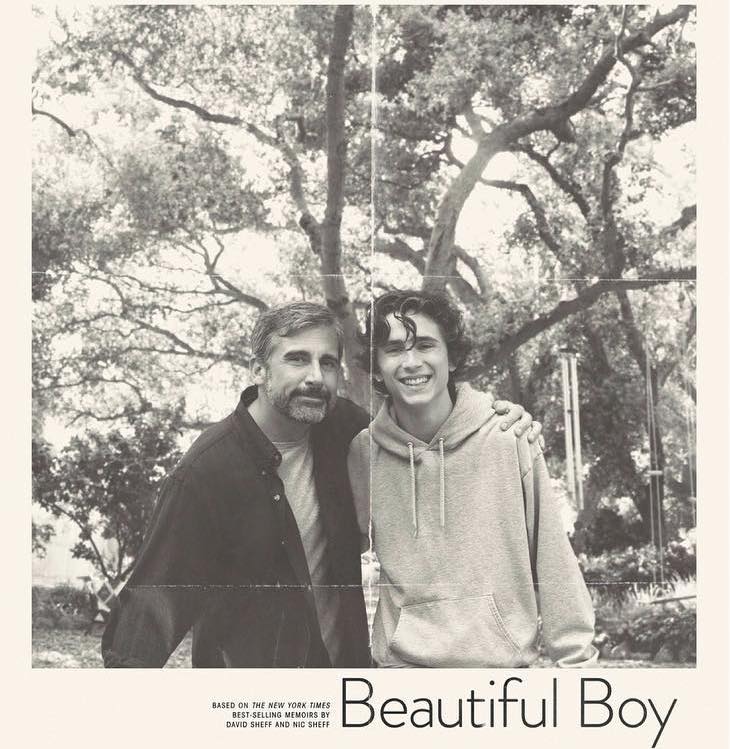 Movie poster for "Beautiful Boy" with Steve Carell and Timothée Chalamet as Nic Sheff