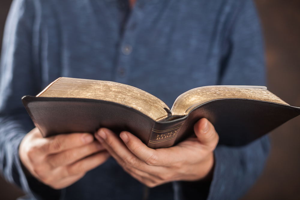 person holding an open bible